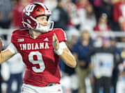 自从羽毛球 自从羽毛球