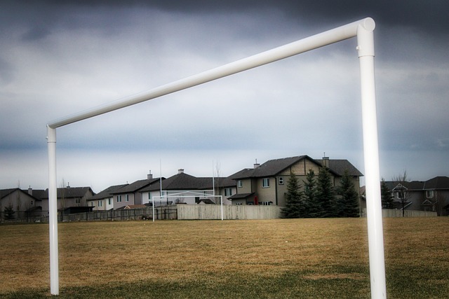 调整和选手 调整和选手