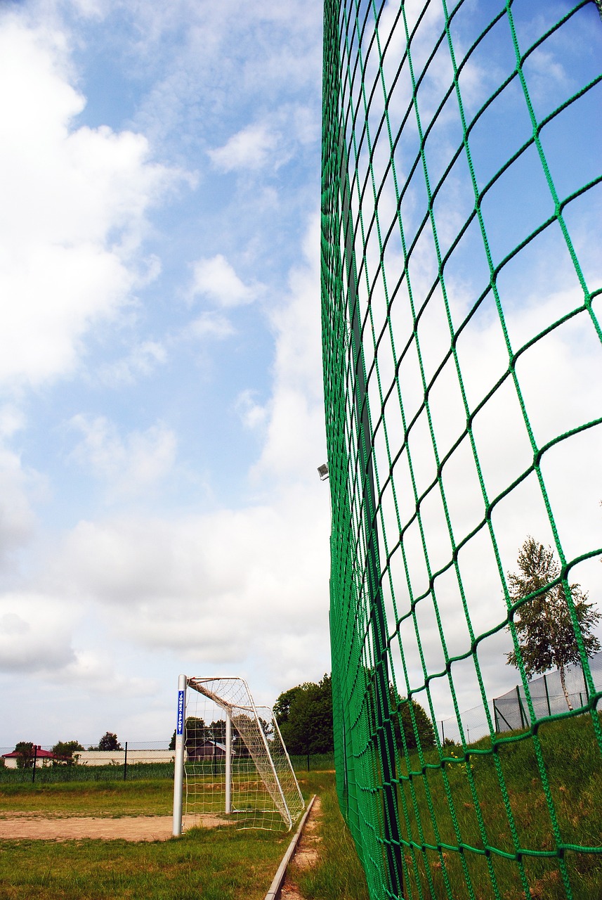 表现不仅体 表现不仅体