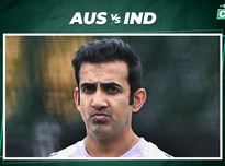 件也屡见不 件也屡见不