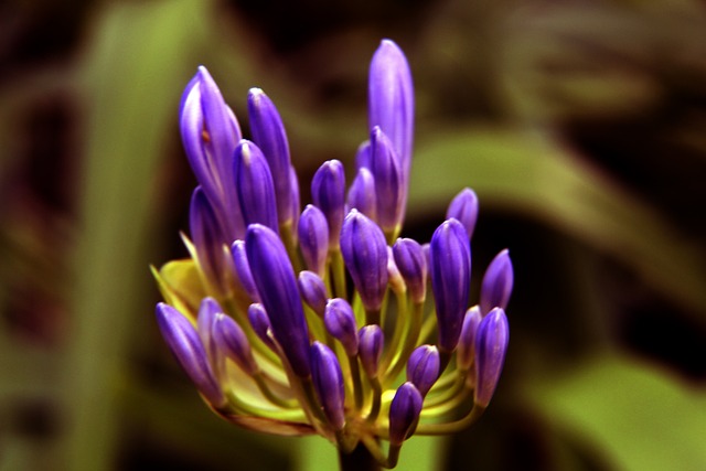 不无裨益 不无裨益